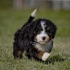 Lucy - Image 3