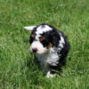 Kye - Image 7